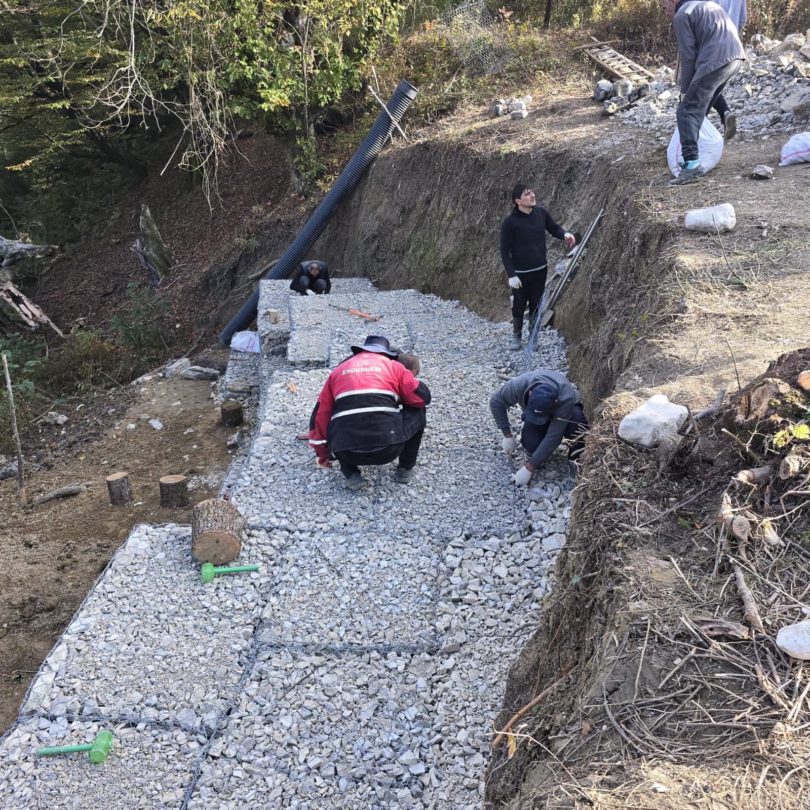 492341964_1302906701372169_6389859644866069696_n